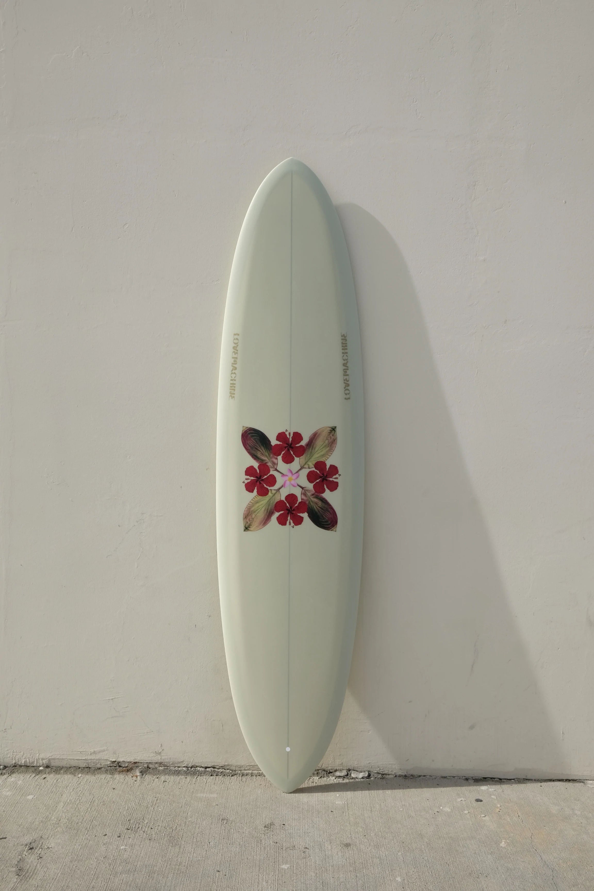 Thick deals lizzy surfboard